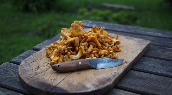 Is It Possible To Boost Immunity?