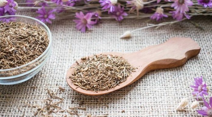 10 Relaxing Benefits of Valerian