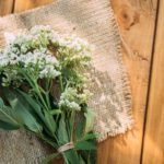 10_valerian_shutterstock_1839765325.jpg