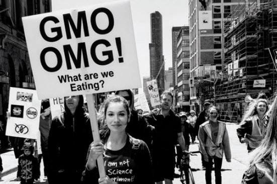 Taking a Stand for GMO Labelling, Regenerative Agriculture, and Nature