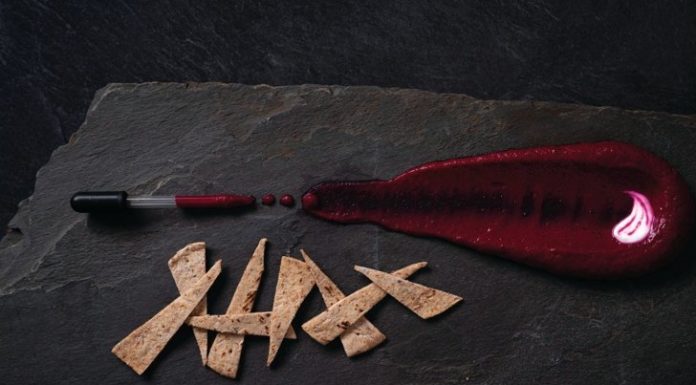 Can Neurogastronomy Save the World?