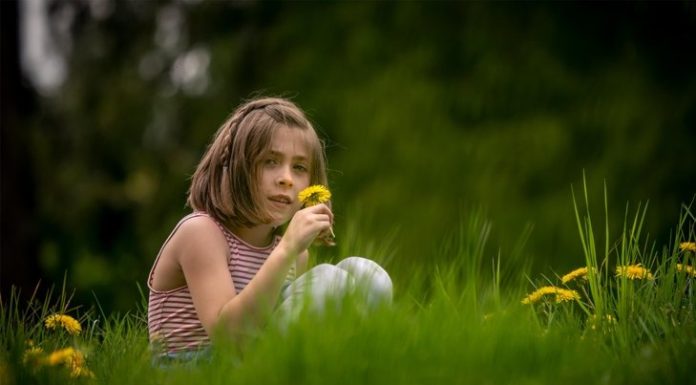 Young, Wild and Free