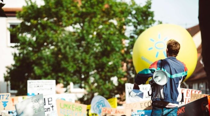 3 Remedies for the Burnt Out Activist