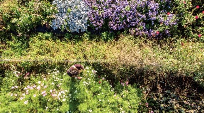 Organic Blooms For Your Beloved