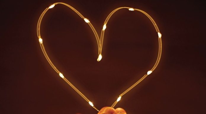 The Brain and the Heart