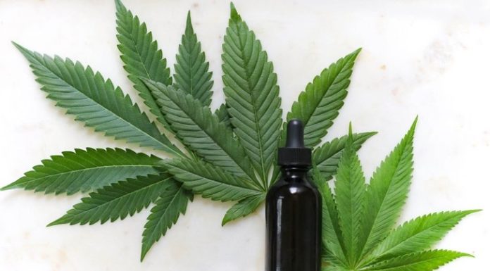 Your Belly’s New Bestie?