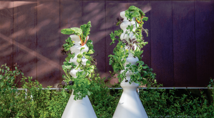 Lettuce Disrupt the Food System