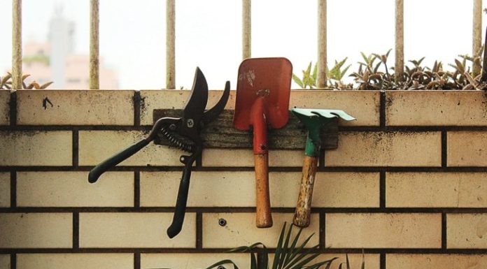 Inclusive Food Security