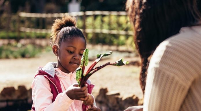 Aren’t Your Kids Sweet Enough Already?