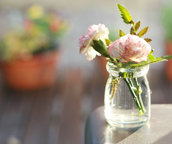 re?id=2906 carnations in vase