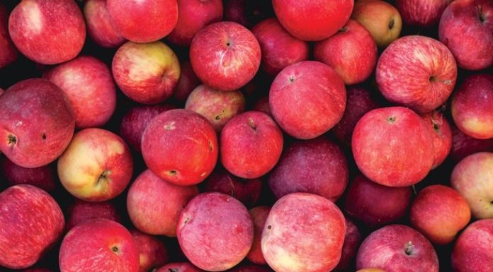 10 Common Traps of Healthy Eating