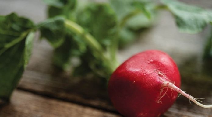 Make Now, Salad Later