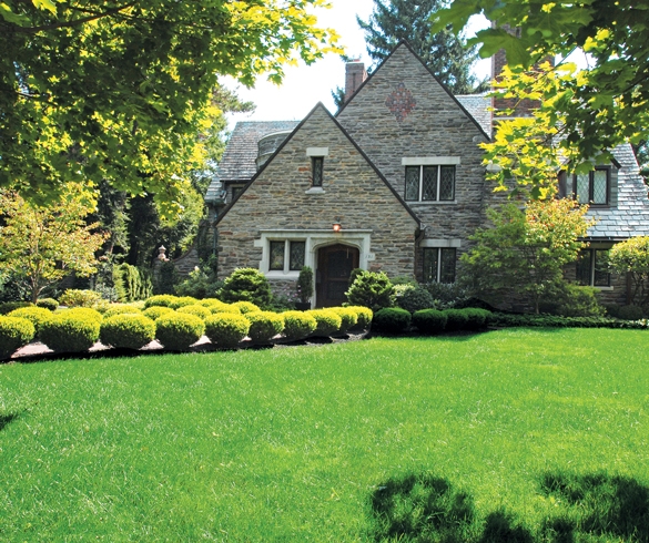 Front of house with a manicured lawn. re?id=4396