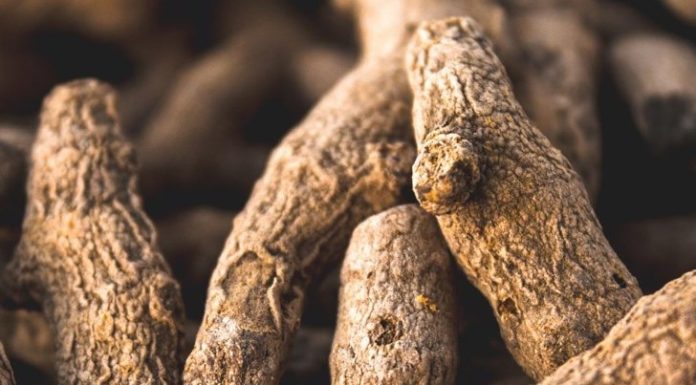 Mesonutrients: The Next Big Nutritional Thing?