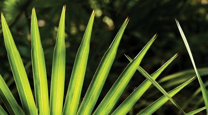 Is His Enlarged Prostate Killing the Mood?