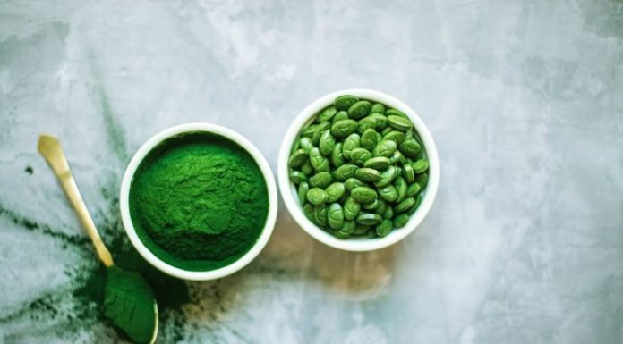 Plant-Powered Healing