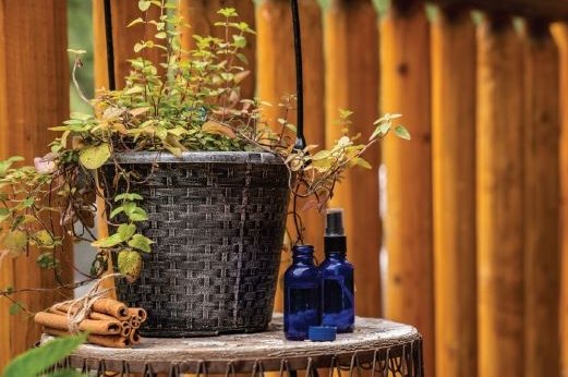 The Top 9 Antiviral Essential Oils