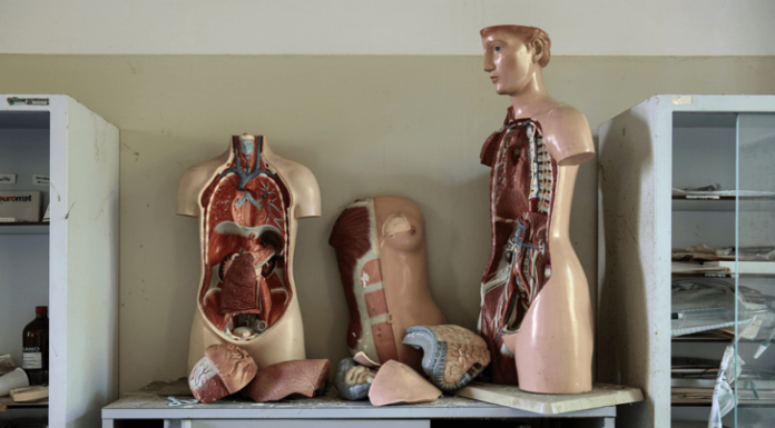 Detox Explained (Finally!)