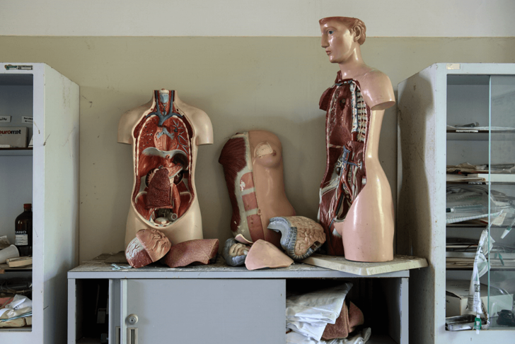 Detox Explained (Finally!)