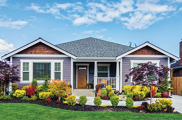 Spruce Up for Spring: Fresh ideas for home upgrades