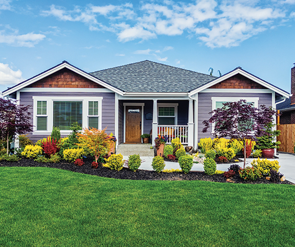 Spruce Up for Spring: Fresh ideas for home upgrades - 15687