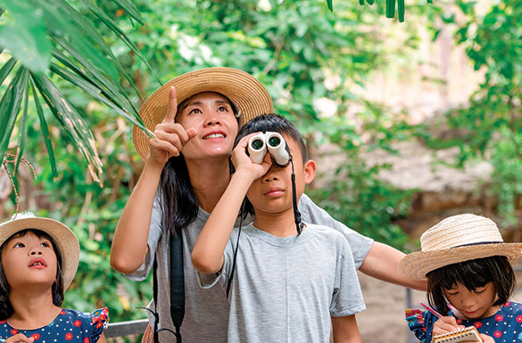 Family-Friendly Ideas for Summer Fun