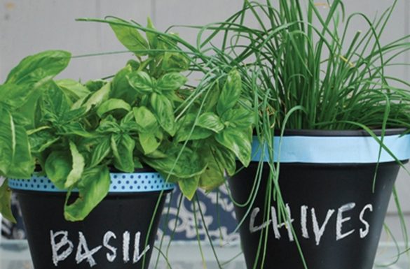 Creative Flower Pot Crafts