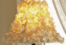 Create Budding Home Updates