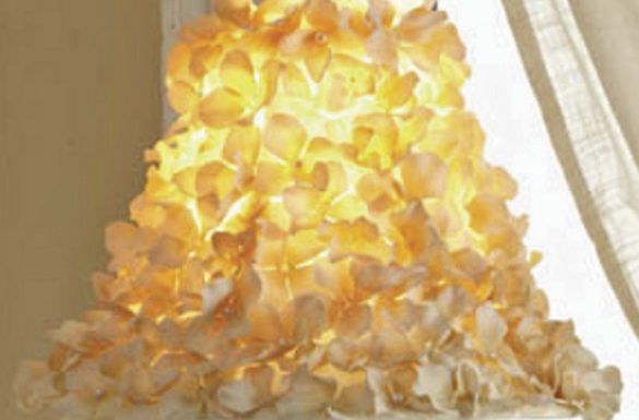 Create Budding Home Updates