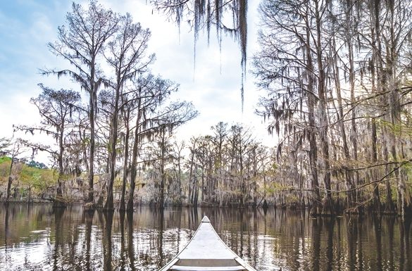 Break Away for a Spring Travel Adventure