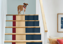 Discover Nature-Inspired Paint Trends for a Calming Home